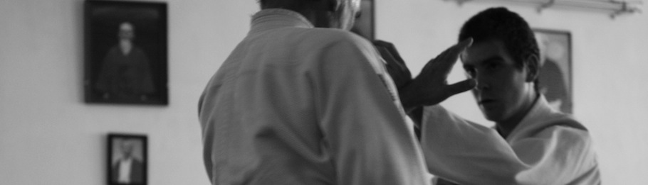 André Palmeri - Aïkido