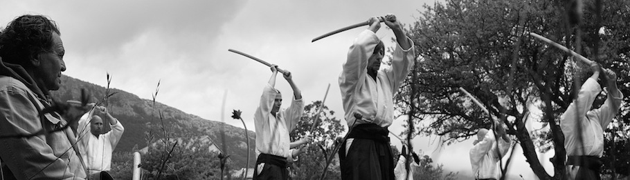 André Palmeri - Aïkido